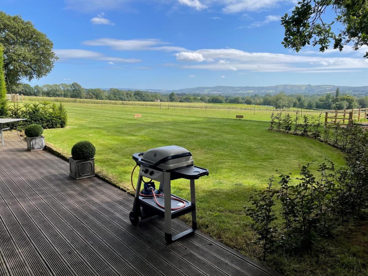 Stunning Cabin With Incredible Views Near Goodwood Rogate Eksteriør billede