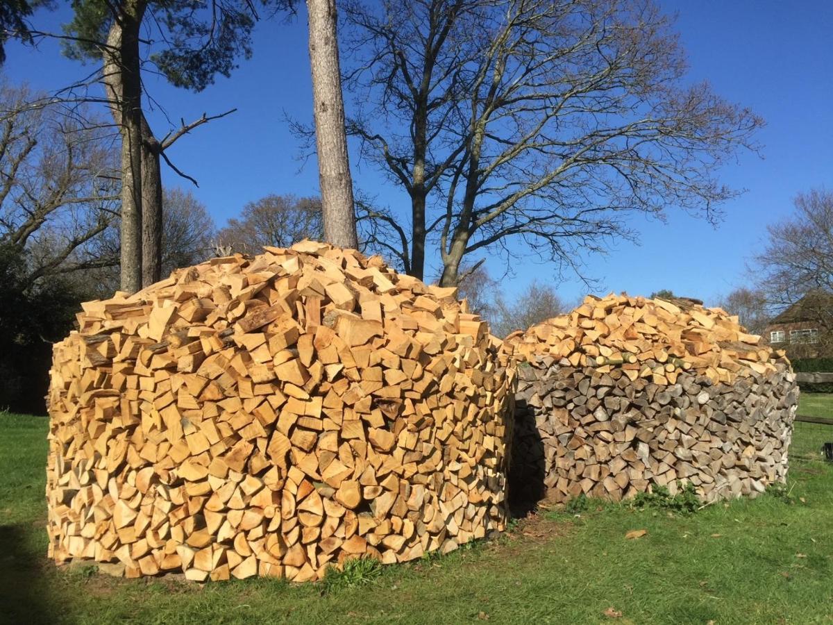 Stunning Cabin With Incredible Views Near Goodwood Rogate Eksteriør billede