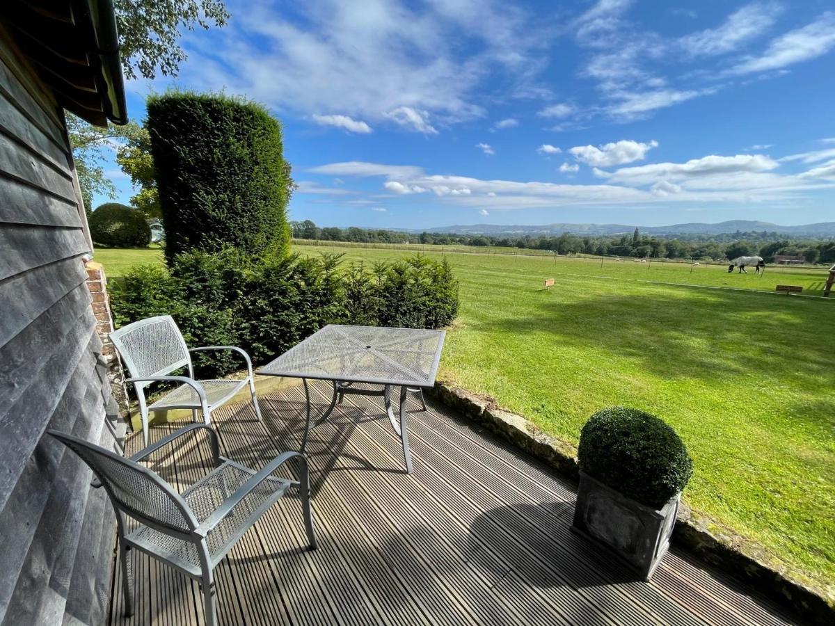 Stunning Cabin With Incredible Views Near Goodwood Rogate Eksteriør billede