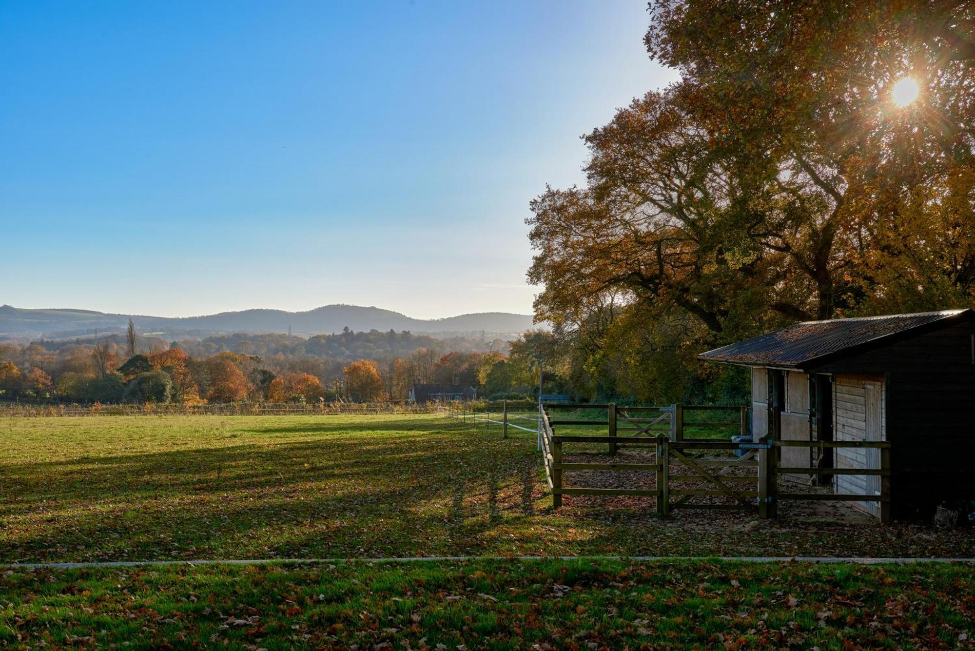 Stunning Cabin With Incredible Views Near Goodwood Rogate Eksteriør billede