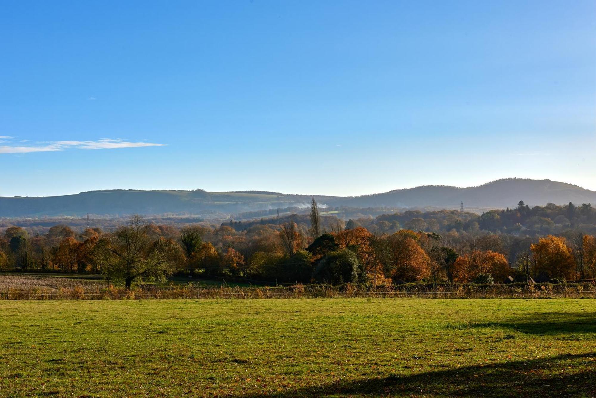 Stunning Cabin With Incredible Views Near Goodwood Rogate Eksteriør billede
