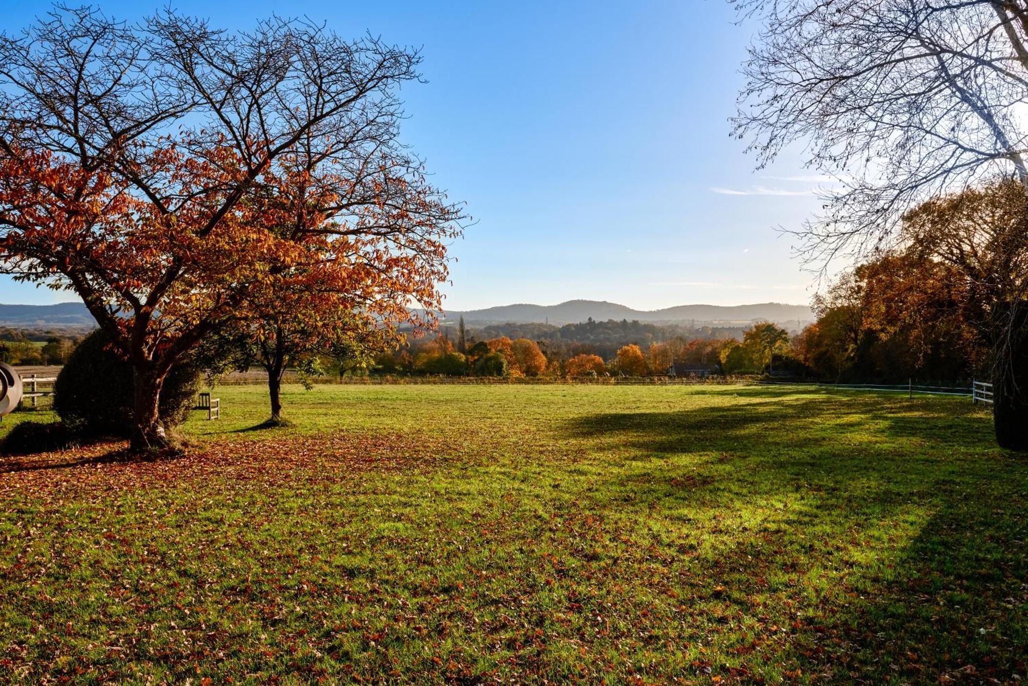 Stunning Cabin With Incredible Views Near Goodwood Rogate Eksteriør billede