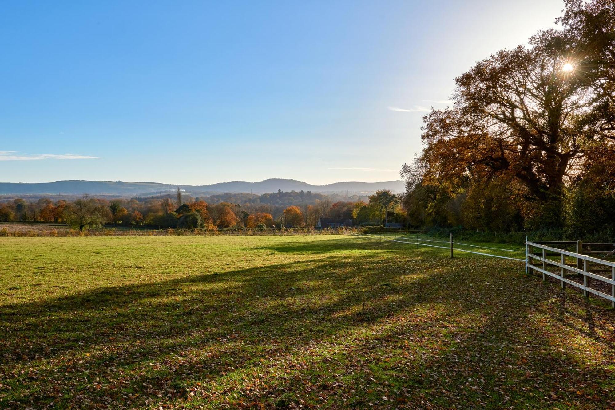 Stunning Cabin With Incredible Views Near Goodwood Rogate Eksteriør billede