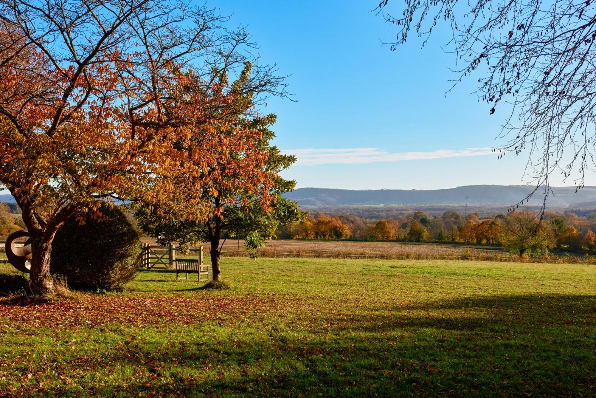 Stunning Cabin With Incredible Views Near Goodwood Rogate Eksteriør billede