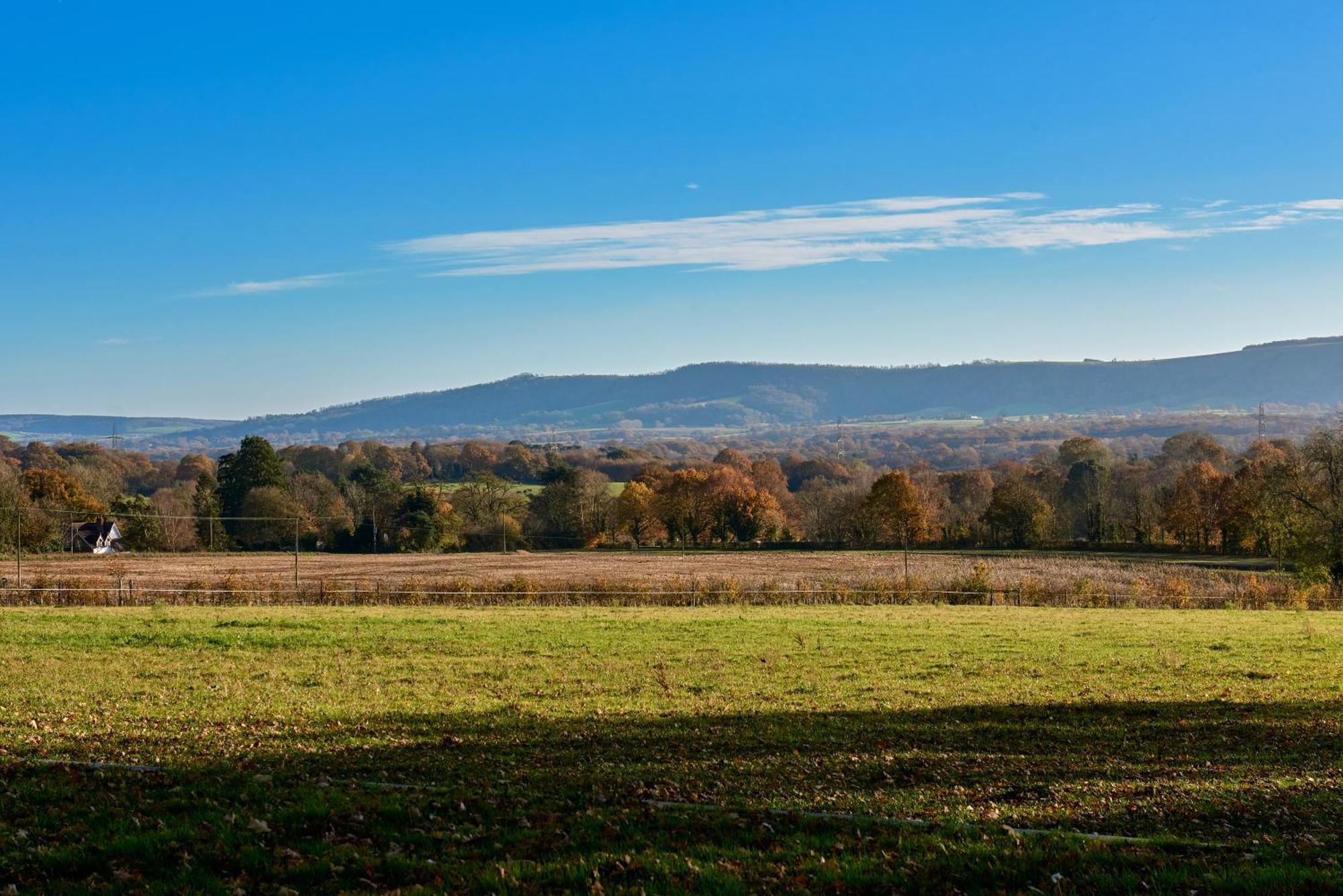 Stunning Cabin With Incredible Views Near Goodwood Rogate Eksteriør billede