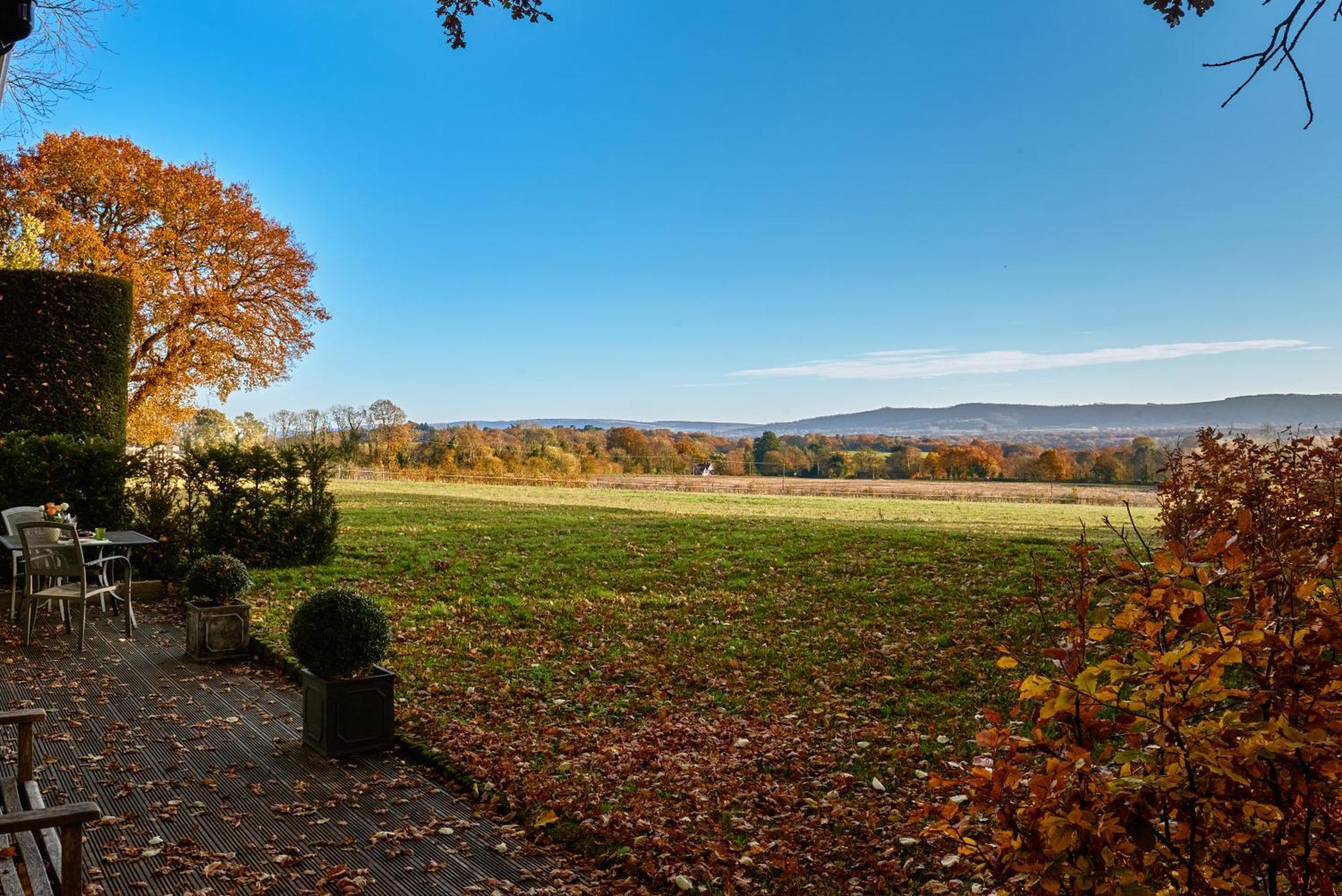 Stunning Cabin With Incredible Views Near Goodwood Rogate Eksteriør billede