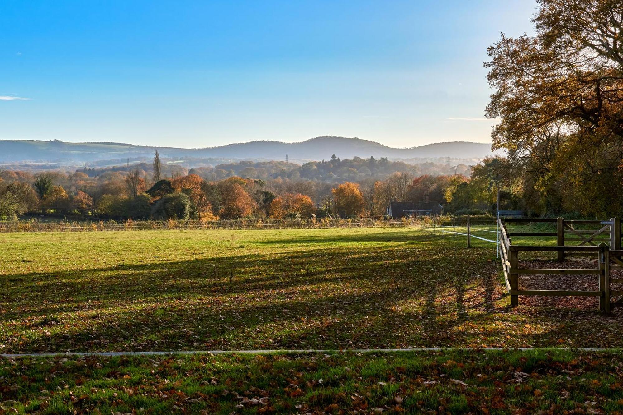 Stunning Cabin With Incredible Views Near Goodwood Rogate Eksteriør billede
