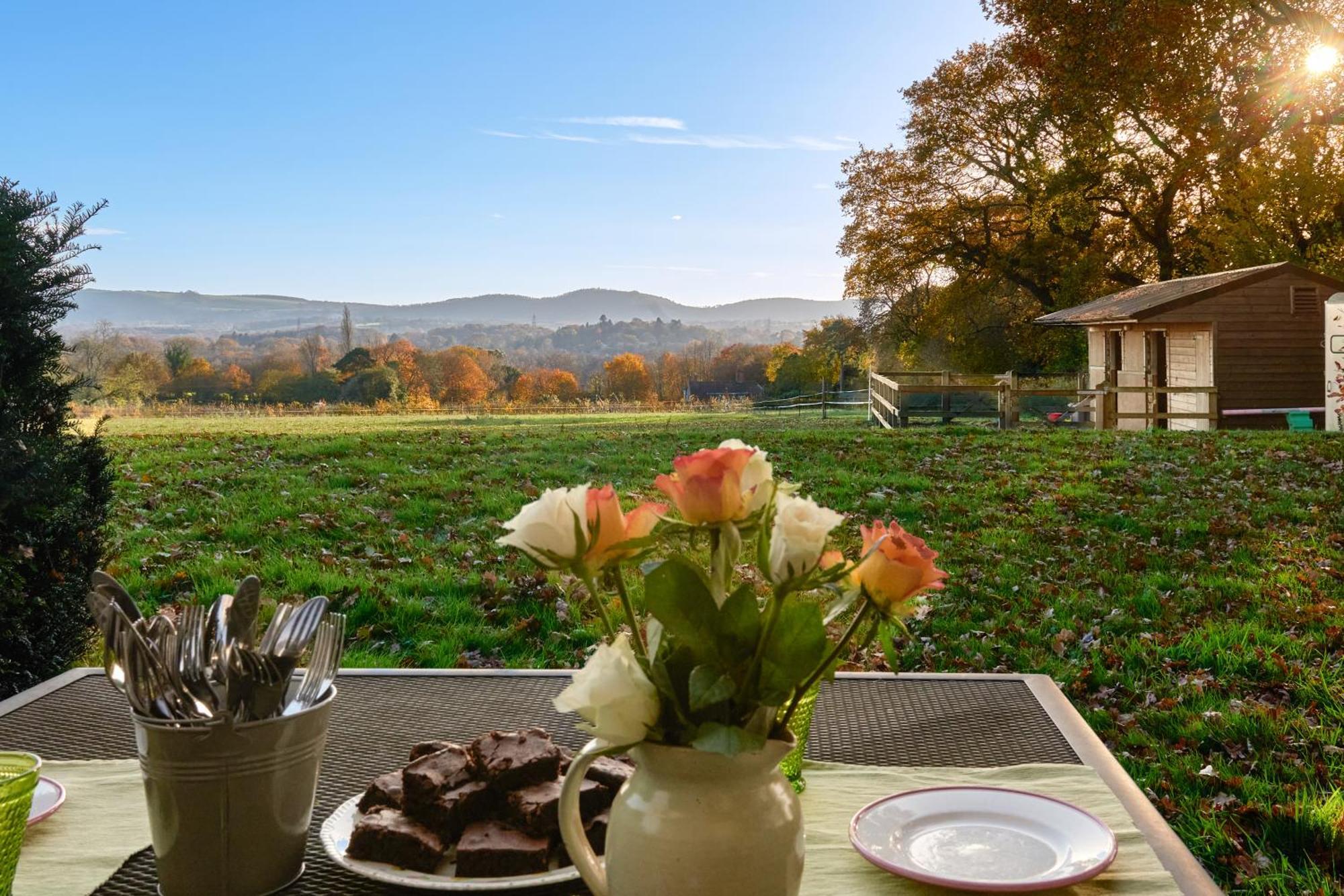 Stunning Cabin With Incredible Views Near Goodwood Rogate Eksteriør billede