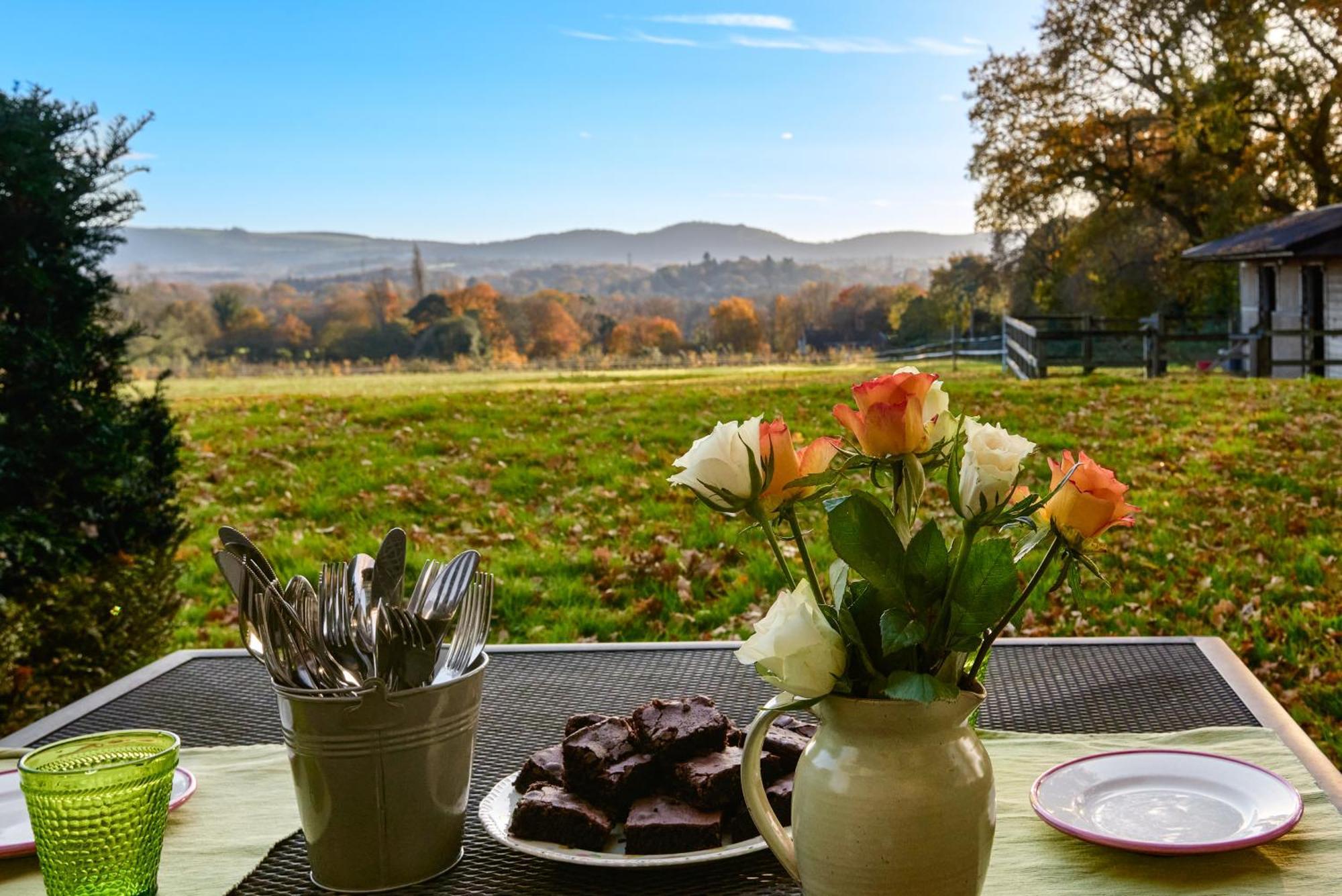 Stunning Cabin With Incredible Views Near Goodwood Rogate Eksteriør billede