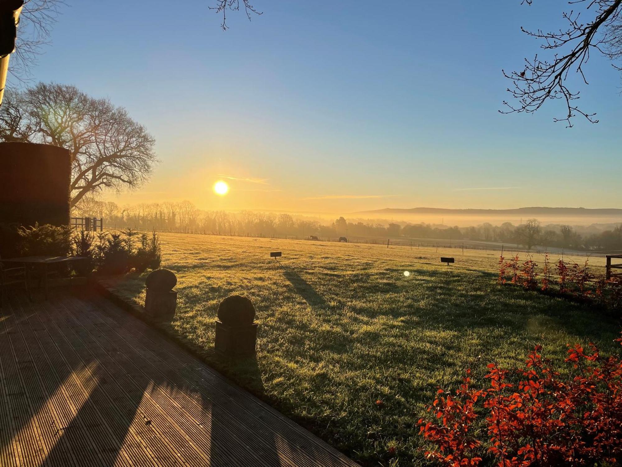 Stunning Cabin With Incredible Views Near Goodwood Rogate Eksteriør billede